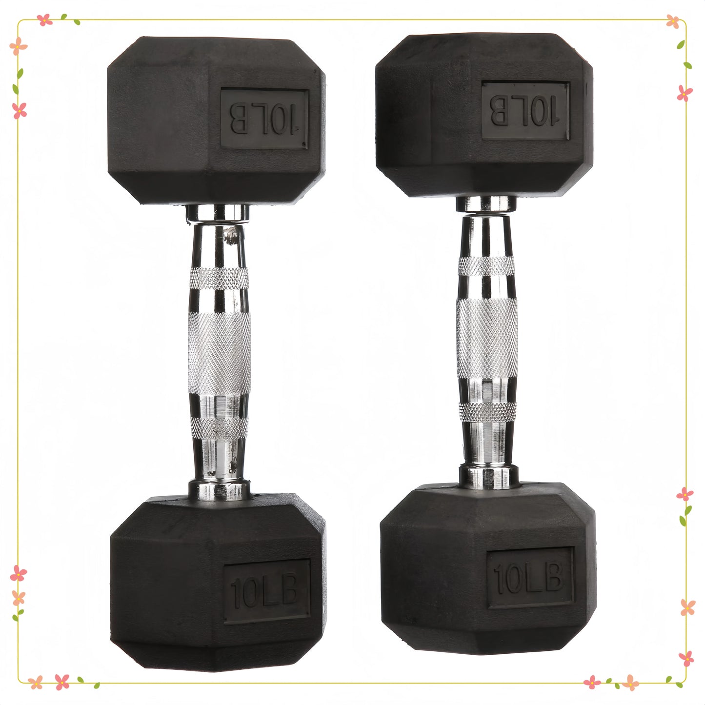 Hex Rubber Encased Dumbbell Pair For Home Gym Training