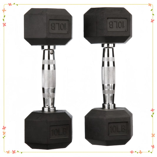 Hex Rubber Encased Dumbbell Pair For Home Gym Training