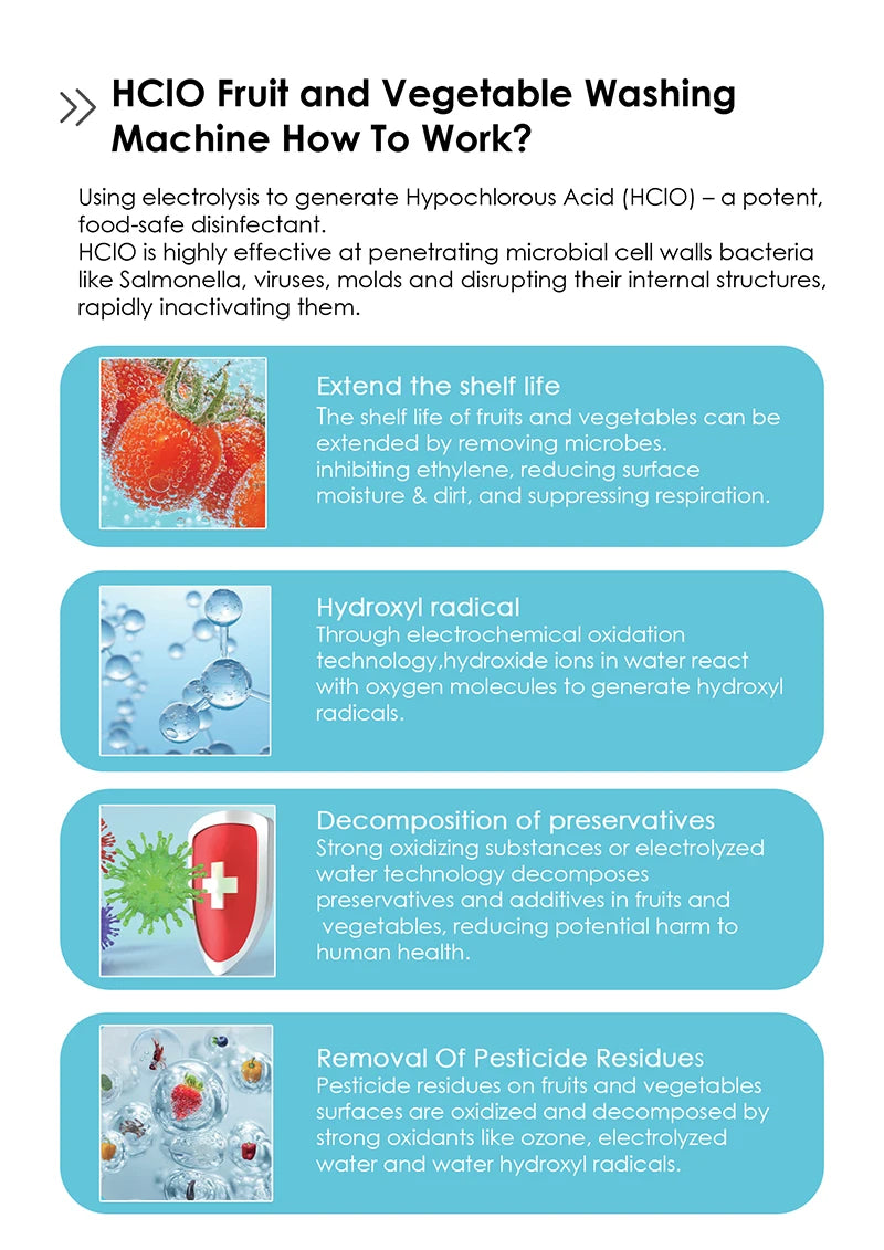 Home Use Meat and Fruit Vegetable Sterilizer HClO  Disinfectant Generator for Fod Cleaning Hypochlorous Acid Fruit Vegetable Cleaner HOCl Food Purifier Machine