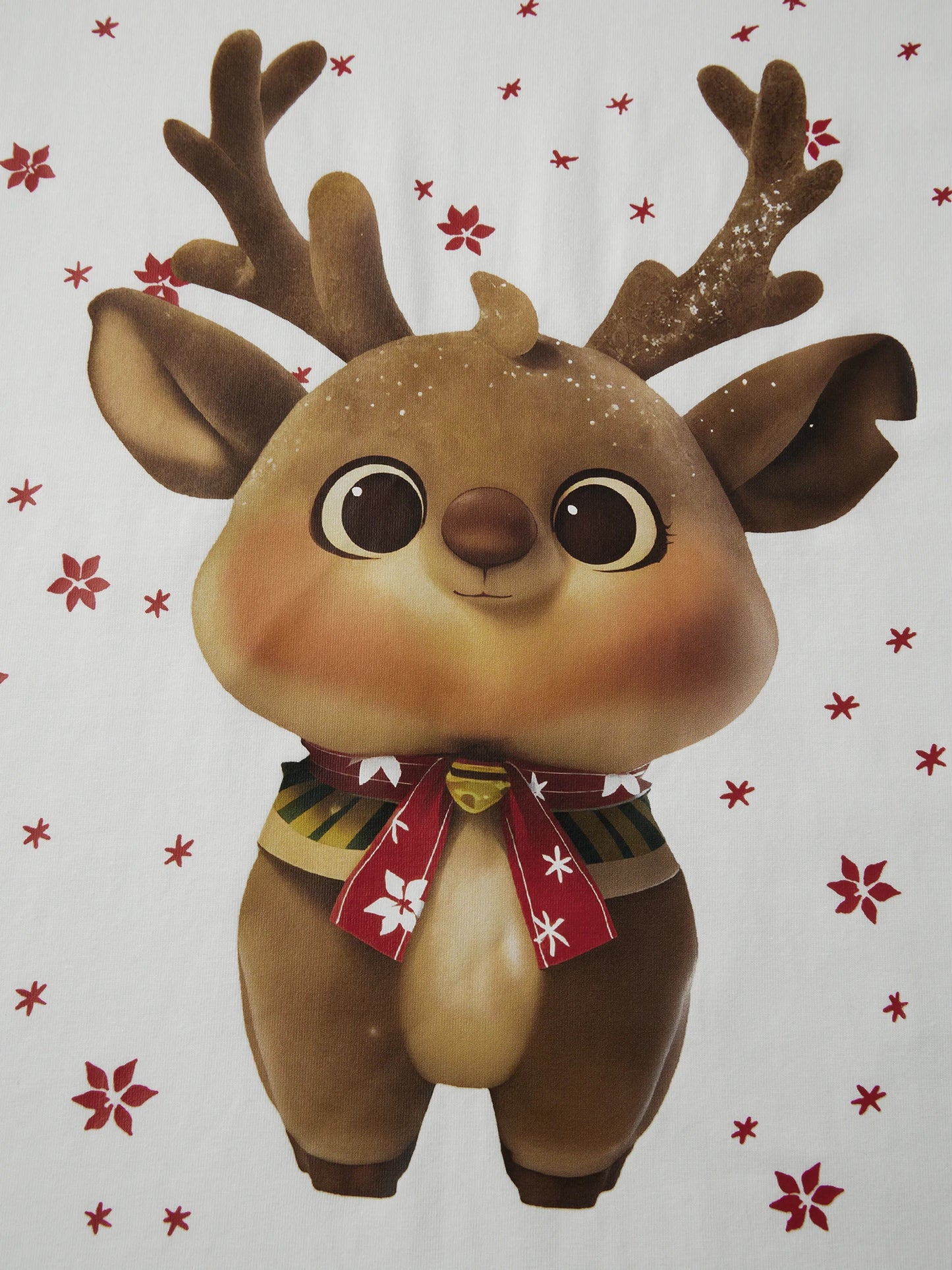 Family Christmas Pajama Set With Festive Plaid And Reindeer Print