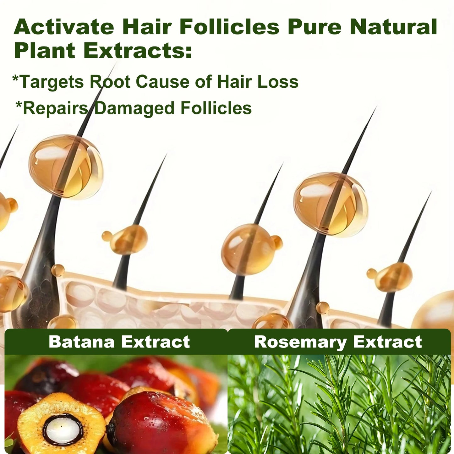 Rosemary Batana Oil Shampoo Promotes Hair Growth and Strength
