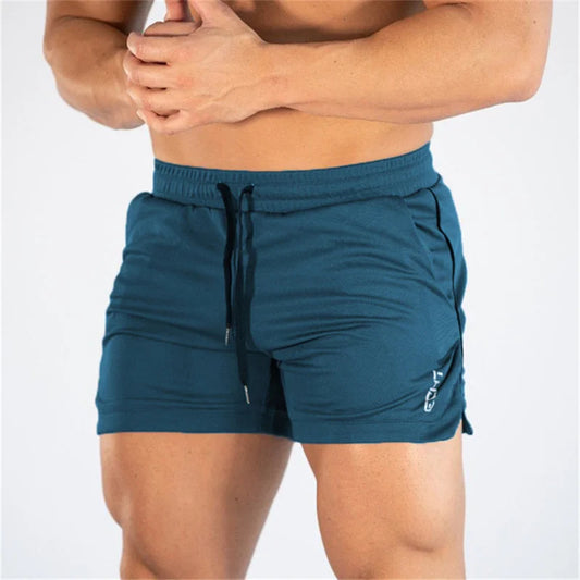 Men Breathable Quick Dry Mesh Sports Shorts Gym Beachwear