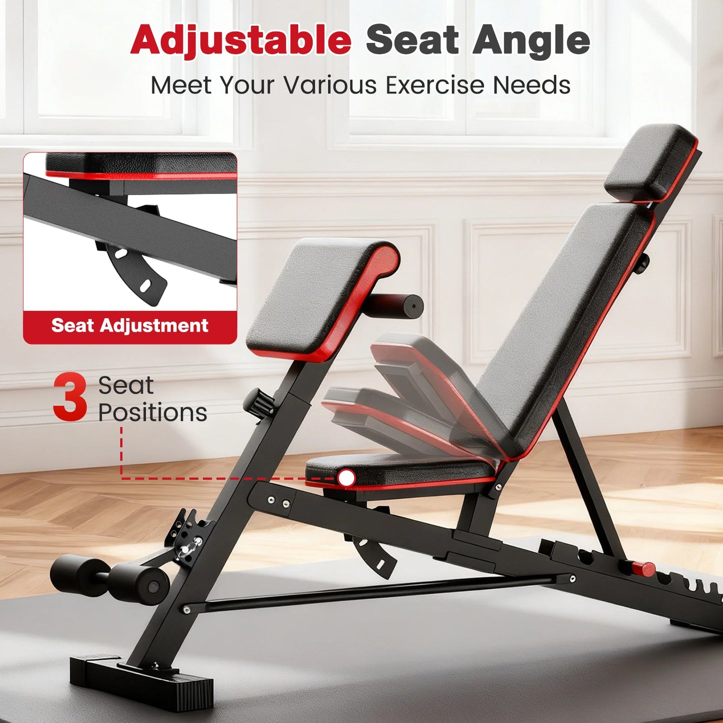 Adjustable Foldable Dumbbell Bench and Roman Chair for Home Gym