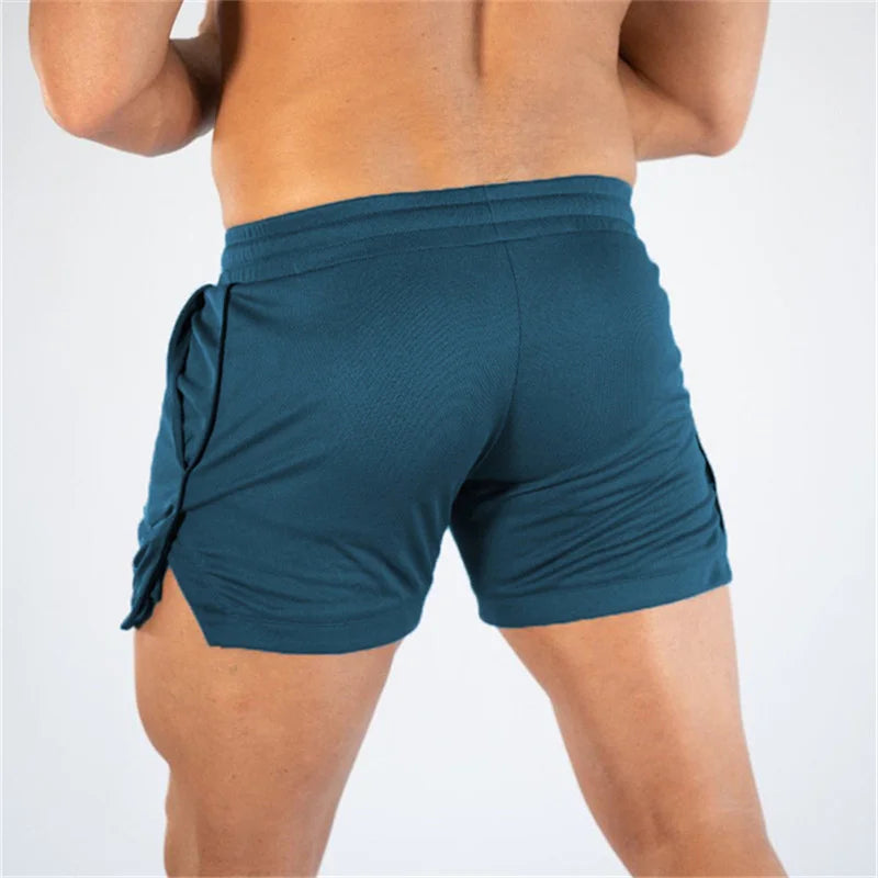 Men Breathable Quick Dry Mesh Sports Shorts Gym Beachwear